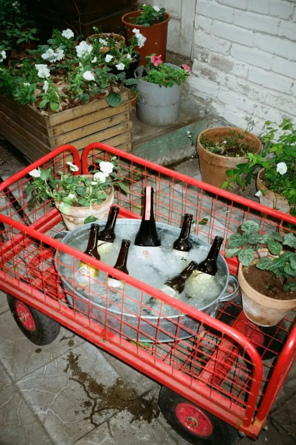 Chilled bottles served from a red cart in an outdoor social setting